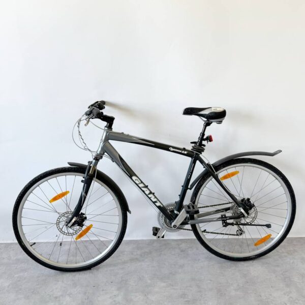 Kolo Giant Cypress LX