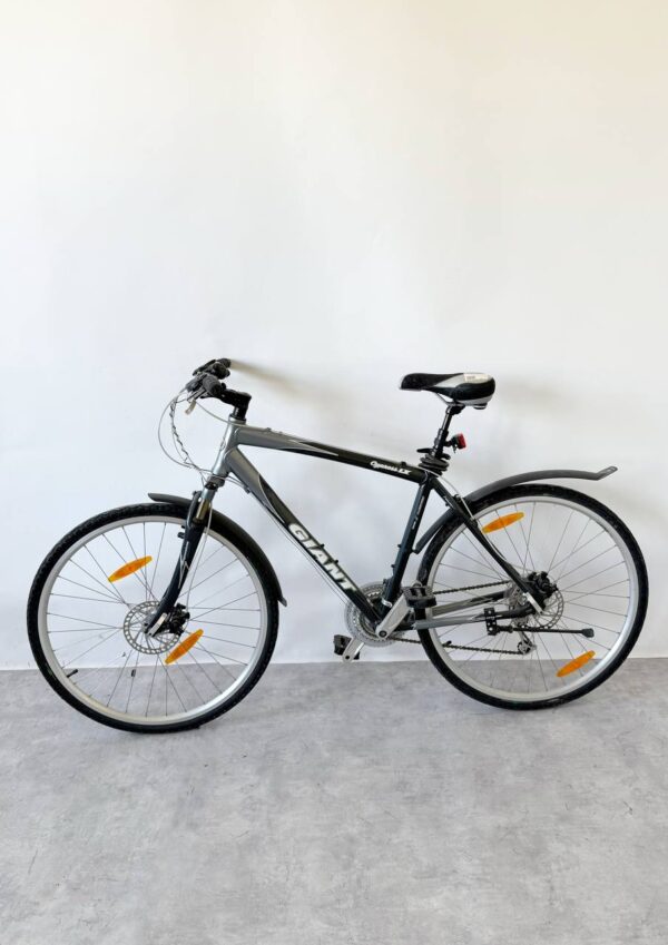 Kolo Giant Cypress LX