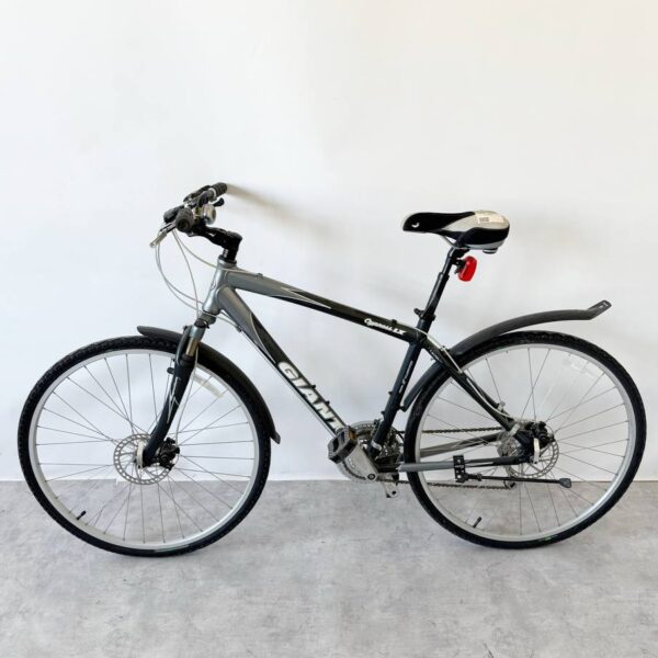 Kolo Giant Cypress LX