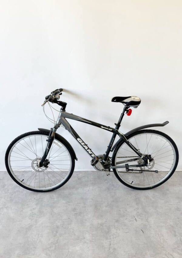 Kolo Giant Cypress LX